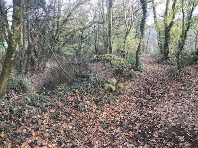 Riverside Stay Gunnislake المظهر الخارجي الصورة