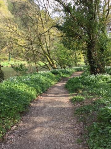 Riverside Stay Gunnislake المظهر الخارجي الصورة